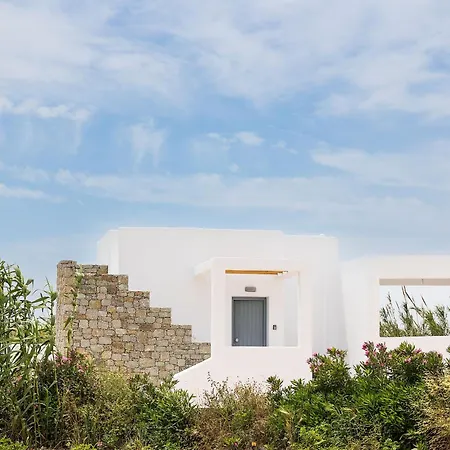 Zoe Cycladic House With Pool Holiday home Naxos City