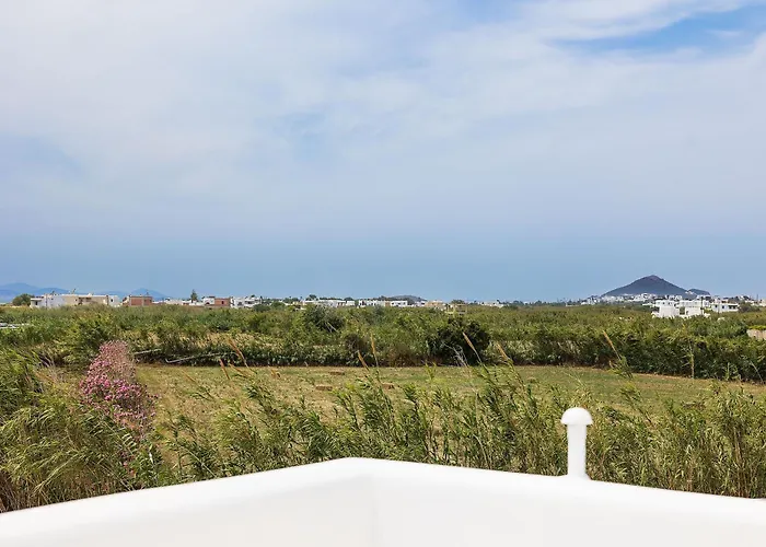 Zoe Cycladic House With Pool * Plaka (Naxos)